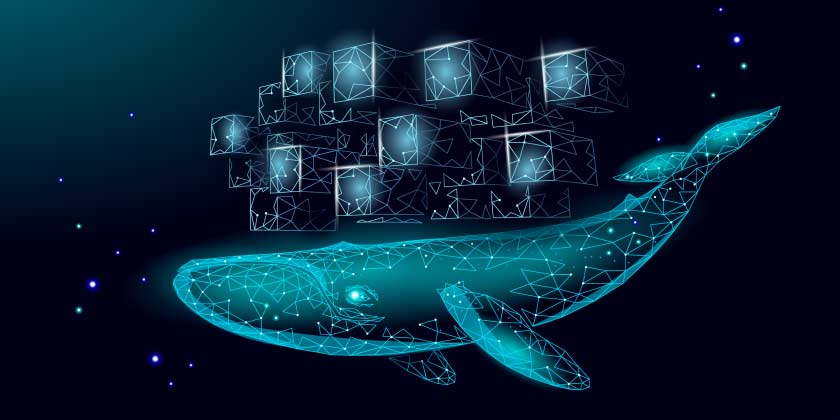 Kubernetes blocks with the Kubernetes whale mascot